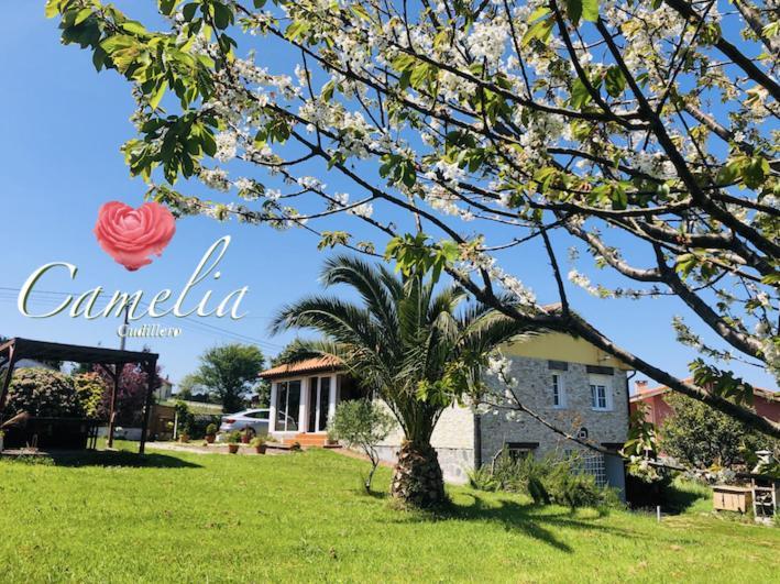 Albuerne Camelia Casina Ruralヴィラ エクステリア 写真